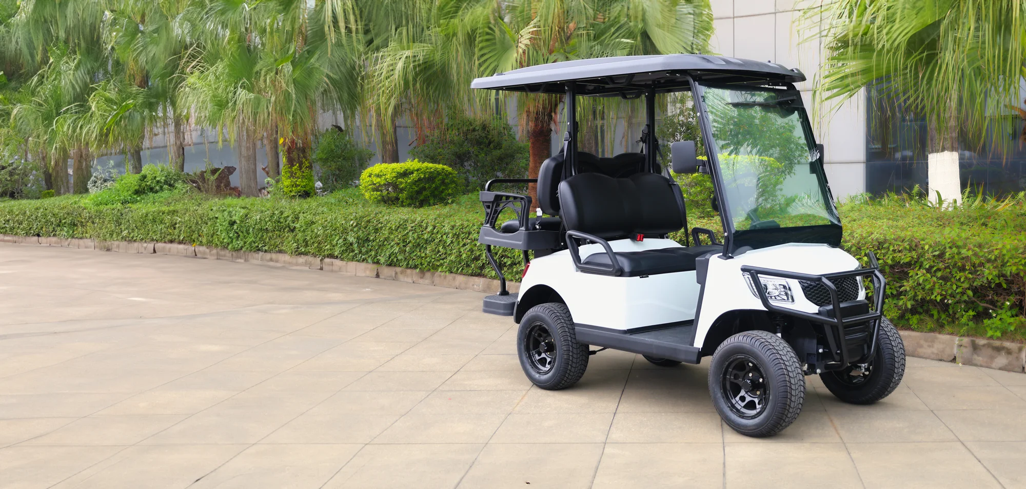 electric cart